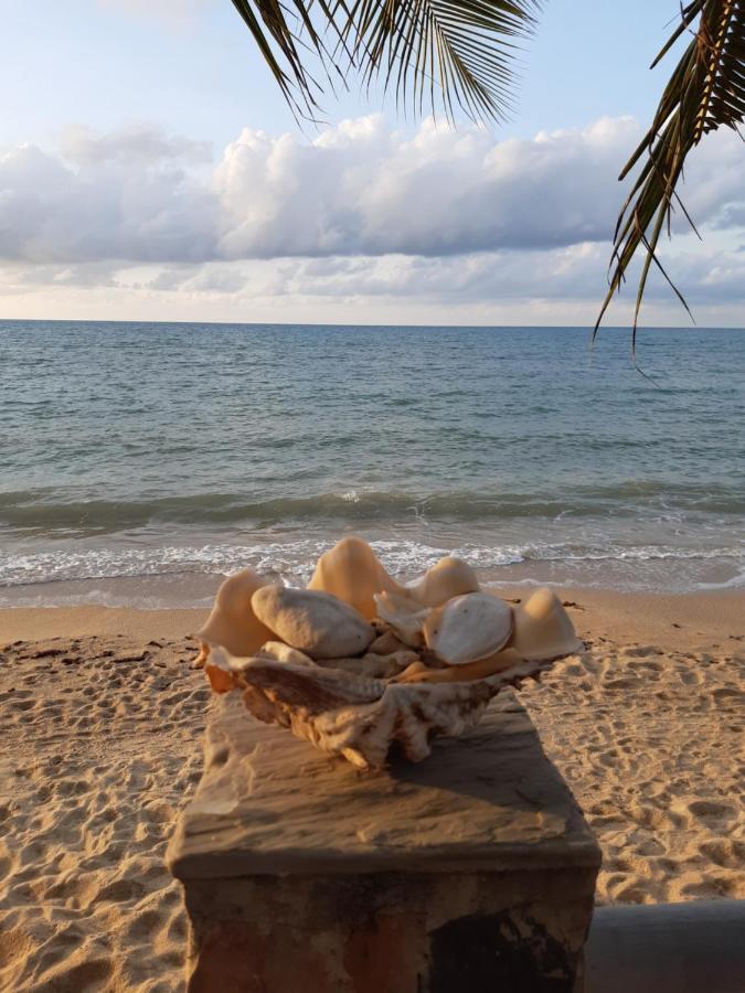 Beer'S House Bungalows เบียร์เฮ้าส์บังกะโล Ban Lamai المظهر الخارجي الصورة