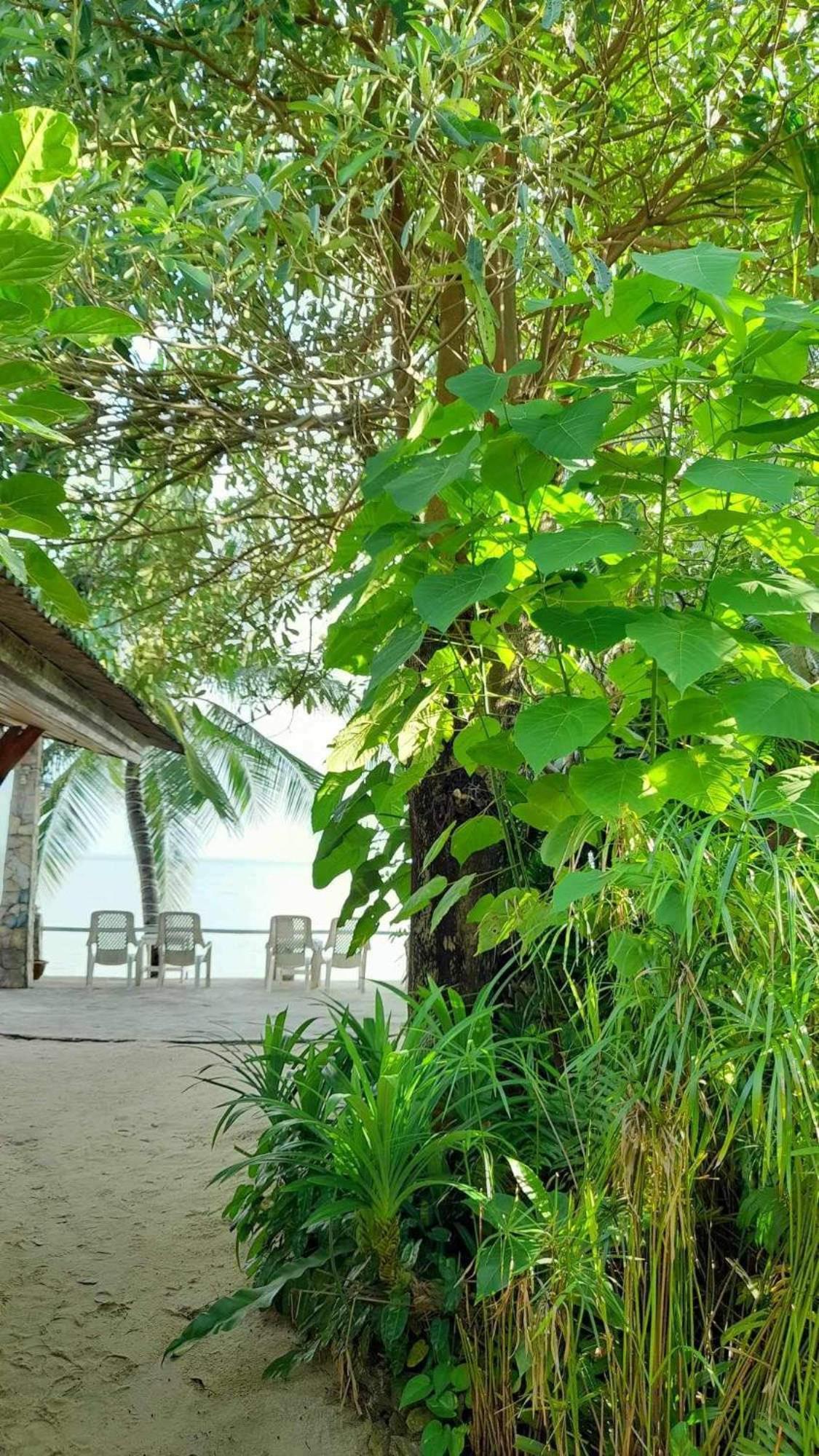 Beer'S House Bungalows เบียร์เฮ้าส์บังกะโล Ban Lamai المظهر الخارجي الصورة