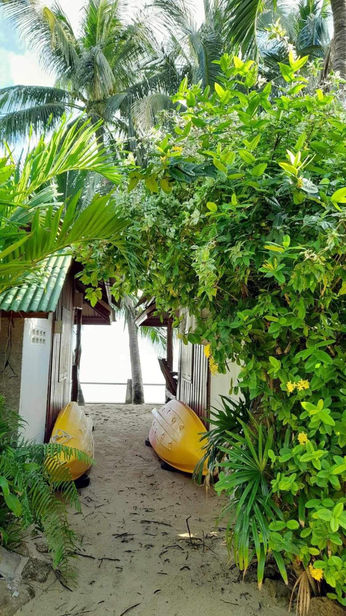 Beer'S House Bungalows เบียร์เฮ้าส์บังกะโล Ban Lamai المظهر الخارجي الصورة